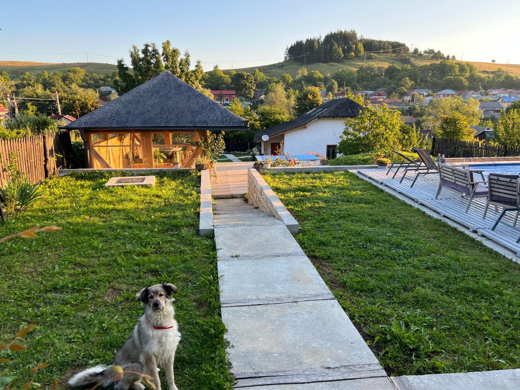 Villa Casa Thymus Soveja Exterior foto